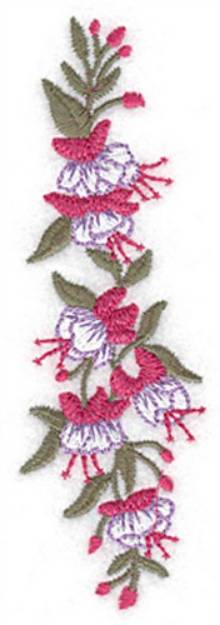 Picture of Fuschia Machine Embroidery Design