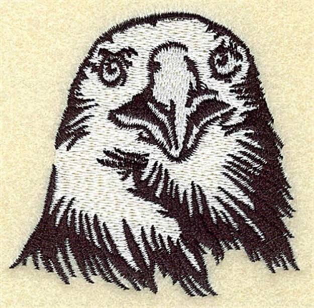 Picture of Eagles  Head Machine Embroidery Design