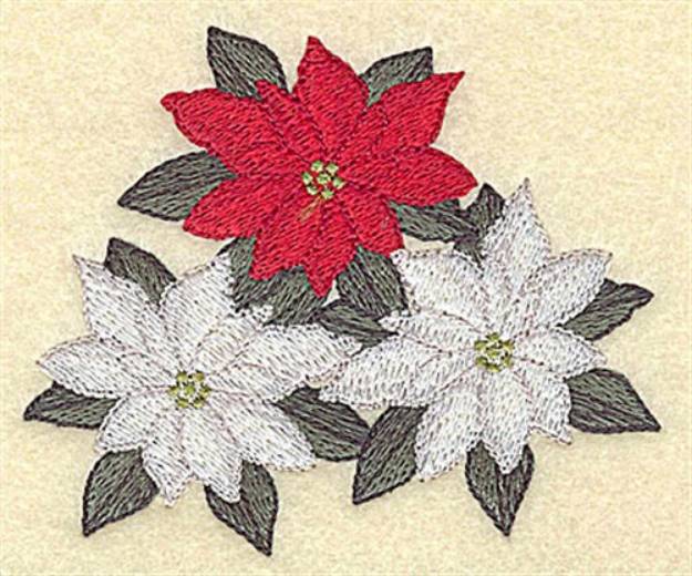 Picture of Colored Poinsettias Machine Embroidery Design
