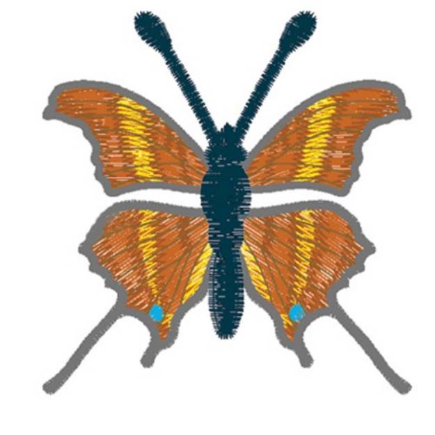 Picture of Ruddy Daggerwing Butterfly Machine Embroidery Design