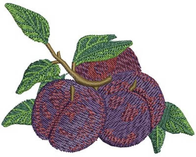 Picture of BATCH OF PLUMS Machine Embroidery Design