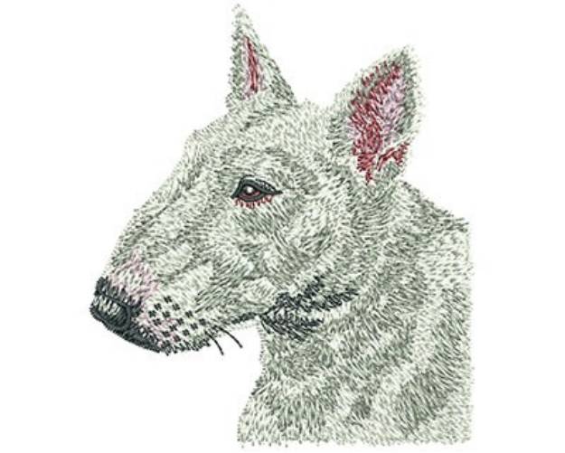 Picture of Bull Terrier Machine Embroidery Design