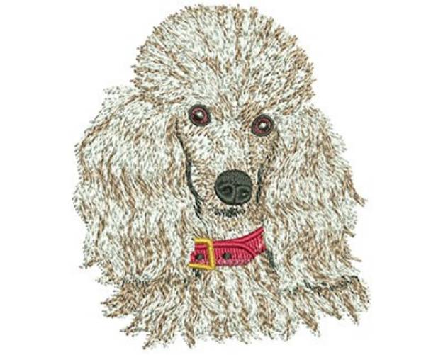 Picture of Toy Poodle Machine Embroidery Design