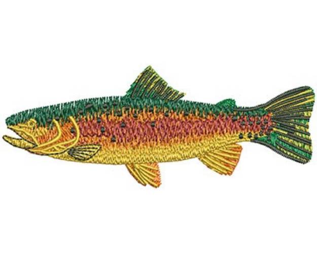 Picture of Rainbow Trout