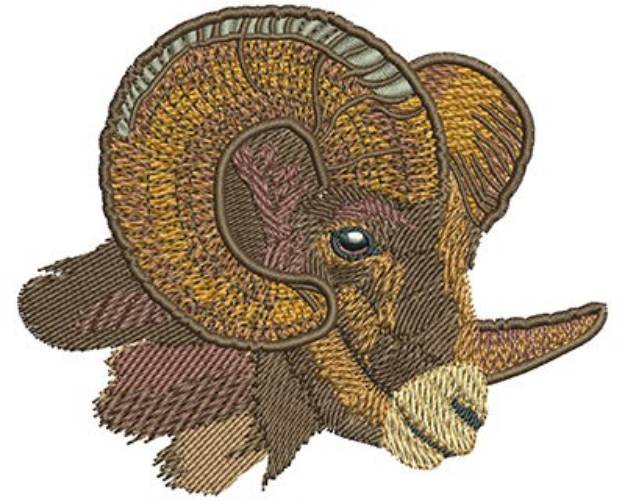 Picture of Ram Head