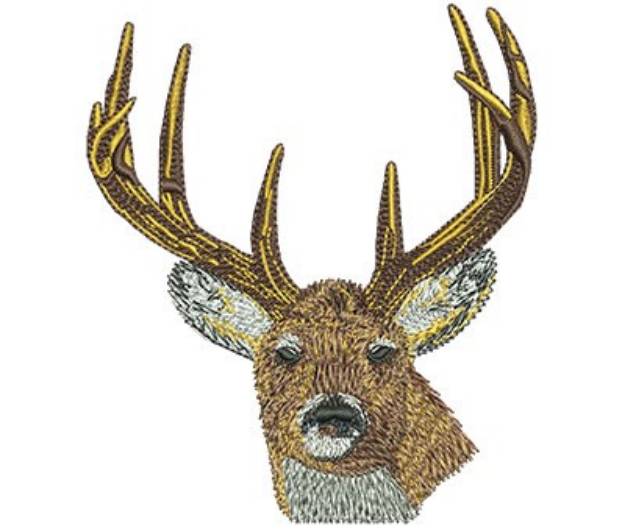 Picture of Buck Head