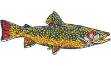 Picture of Brook Trout Machine Embroidery Design