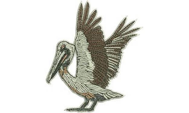Picture of Pelican Taking Flight Machine Embroidery Design