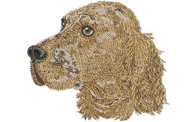 Picture of ENGLISH SETTER Machine Embroidery Design