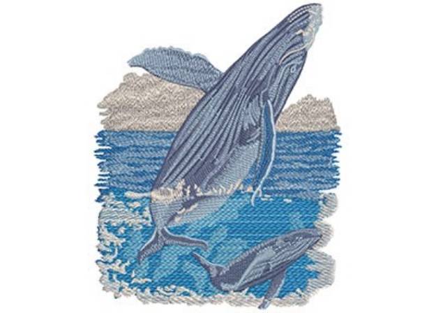 Picture of Humpback Whale Machine Embroidery Design