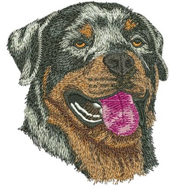 Picture of Realistic Rottweiler Machine Embroidery Design