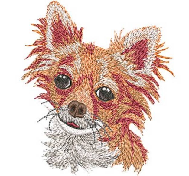 Picture of Long Haired Chihuahua Machine Embroidery Design