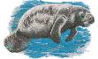 Picture of MANATEE Machine Embroidery Design
