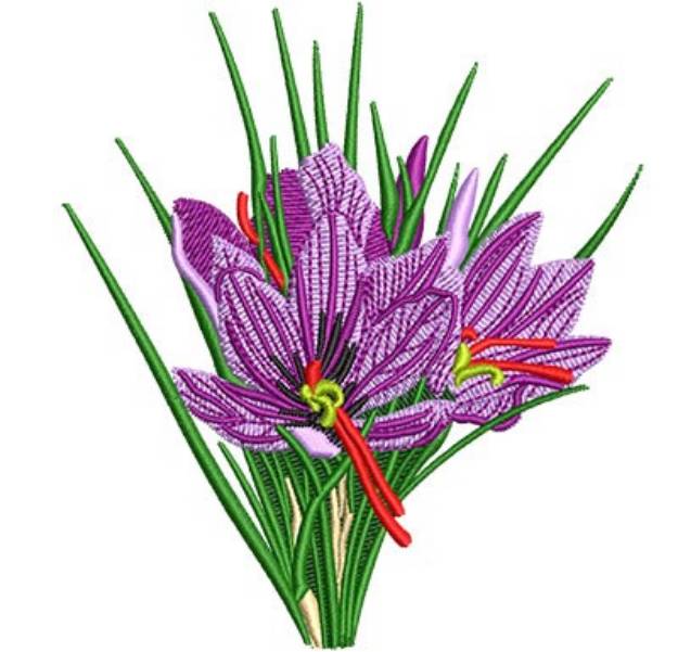 Picture of Crocus Flowers Machine Embroidery Design