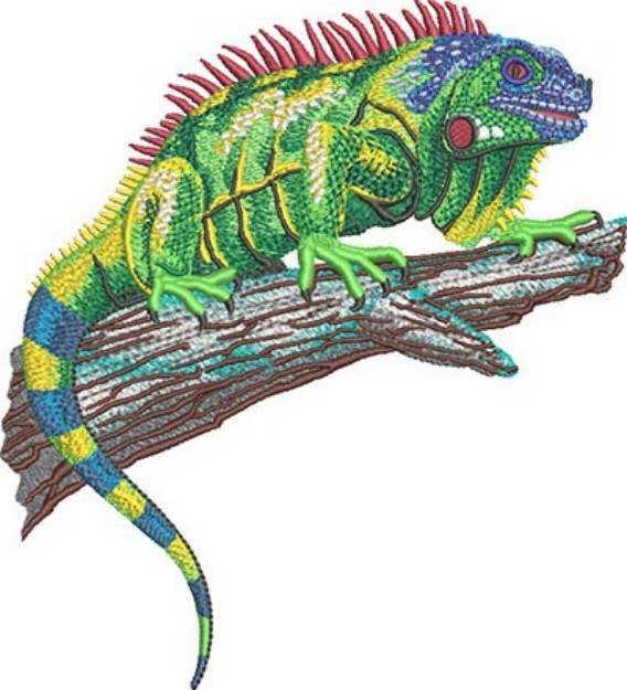 Picture of Colorful Iguana Machine Embroidery Design