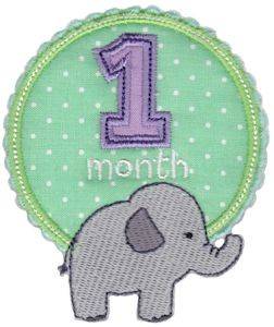Picture of Baby Months Applique Machine Embroidery Design