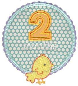 Picture of Baby 2 Months Applique Machine Embroidery Design