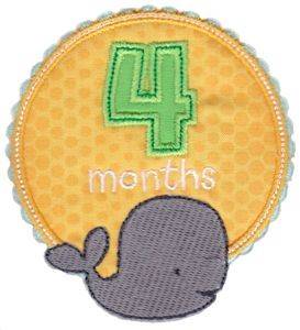 Picture of Baby 4 Months Applique Machine Embroidery Design