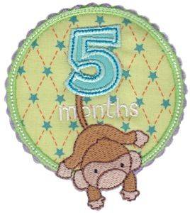 Picture of Baby 5 Months Applique Machine Embroidery Design