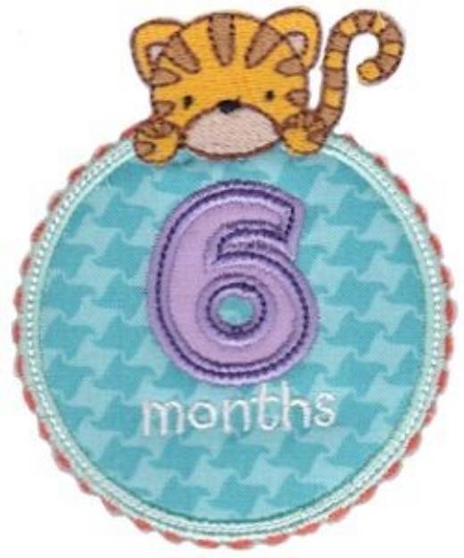 Picture of Baby 6 Months Applique Machine Embroidery Design