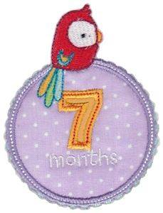 Picture of Baby 7 Months Applique Machine Embroidery Design