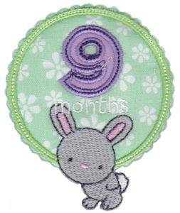 Picture of Baby 9 Months Applique Machine Embroidery Design