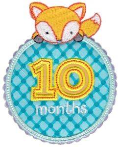 Picture of Baby 10 Months Applique Machine Embroidery Design