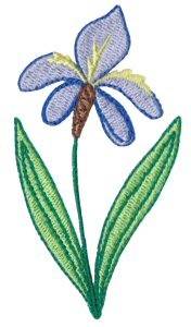 Picture of Dinky Doodle Iris Machine Embroidery Design
