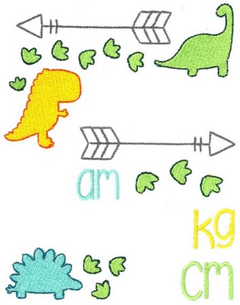 Picture of Dinosaur Birth Announcement Metric AM Machine Embroidery Design