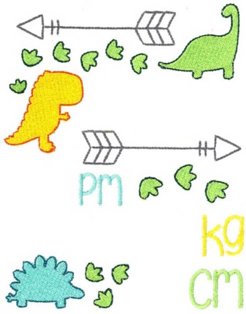 Picture of Dinosaur Birth Announcement Metric PM Machine Embroidery Design
