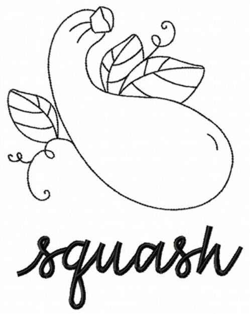 Picture of Squash Outline Machine Embroidery Design