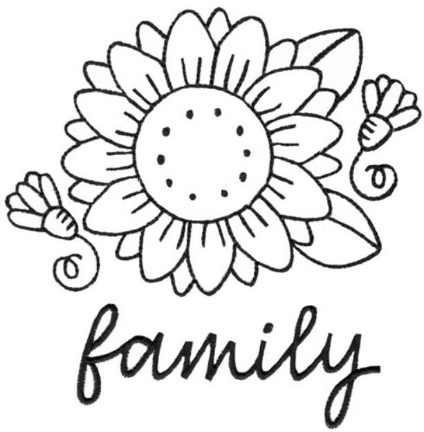 Picture of Sunflower Family