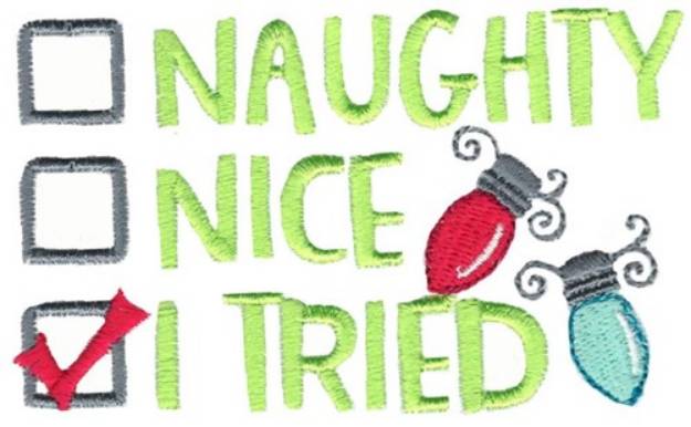 Picture of Naughty Nice I Tried