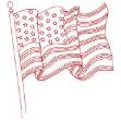 Picture of U S A Flag Machine Embroidery Design