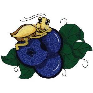Picture of Blueberries & Cricket Applique Machine Embroidery Design