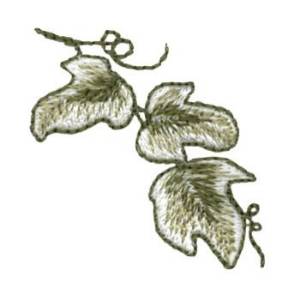 Picture of Ivy Machine Embroidery Design