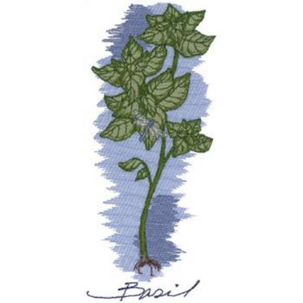 Picture of Basil Machine Embroidery Design