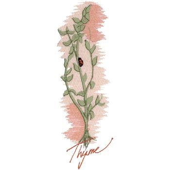 Thyme Machine Embroidery Design