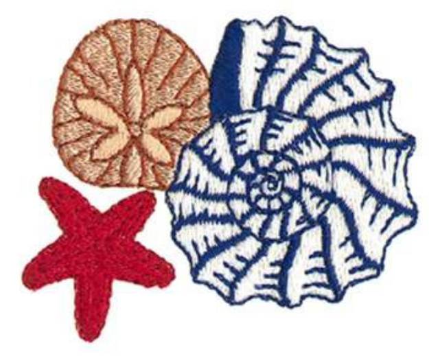 Picture of Shells Machine Embroidery Design