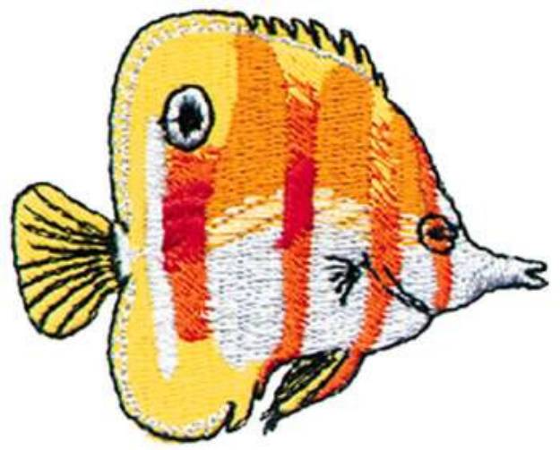 Picture of Long-nosed Angelfish Machine Embroidery Design