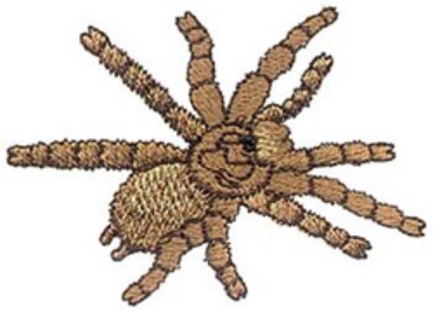 Picture of Tarantula Machine Embroidery Design