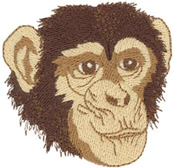 Chimpanzee Machine Embroidery Design