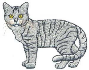 Picture of Shorthair Tabby Machine Embroidery Design