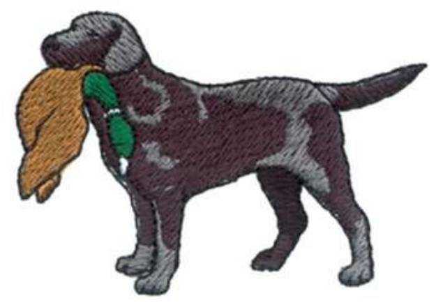 Picture of Labrador With A Duck Machine Embroidery Design