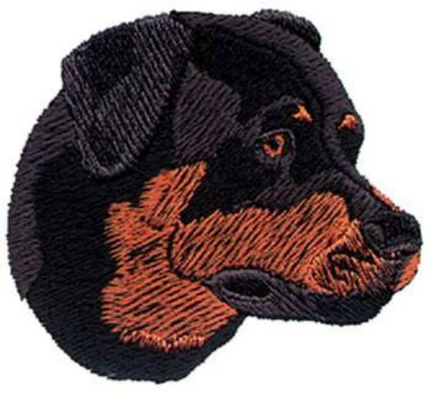 Picture of Rottweiler Head Machine Embroidery Design