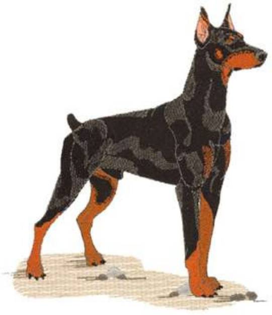 Picture of Large Doberman Machine Embroidery Design