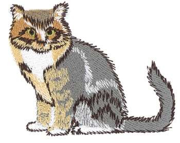Maine Coon Cat Machine Embroidery Design