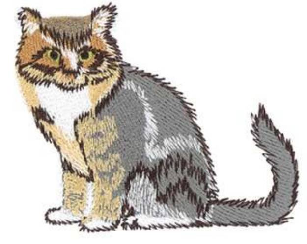 Picture of Maine Coon Cat Machine Embroidery Design