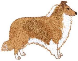 Picture of Rough Collie Machine Embroidery Design
