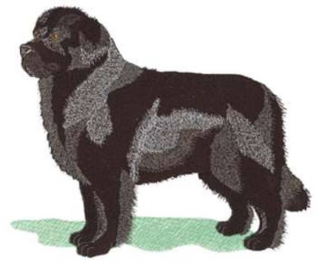 Picture of Large Newfoundland Machine Embroidery Design